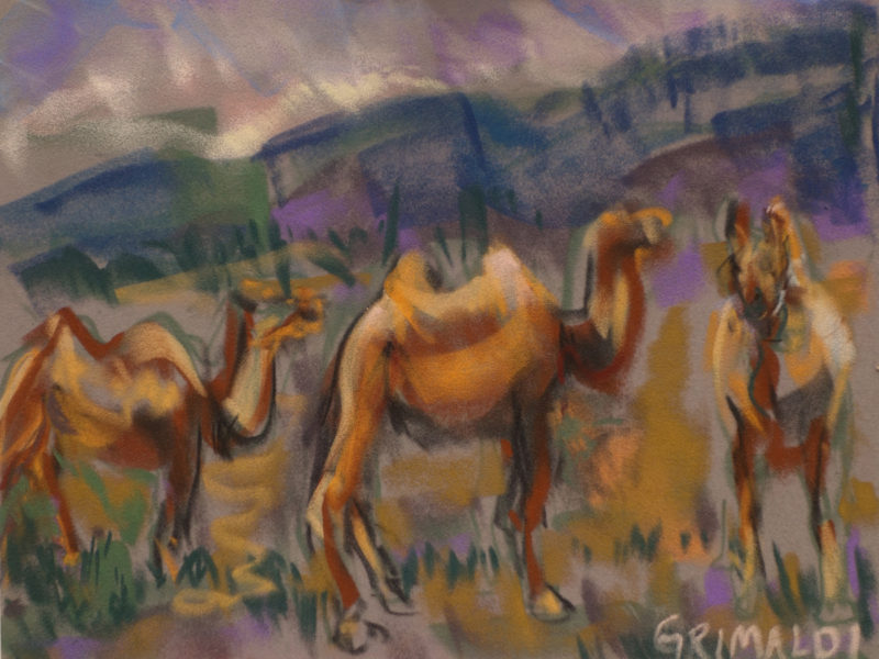 Susan Ross Grimaldi, Camels in Mongolia