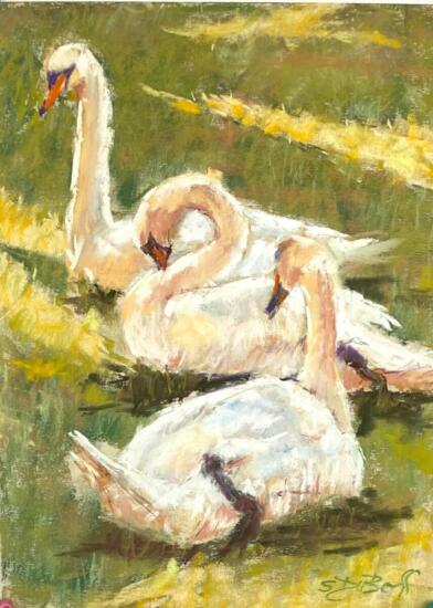 Shelli DuBoff - An Elegance of Swans