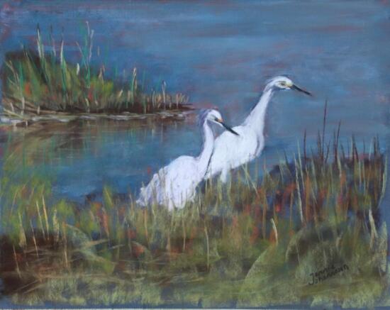 J Johannesen - Snowy Egret Pair