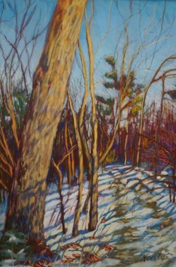 M Nealy - Winter at Shelburne Farms