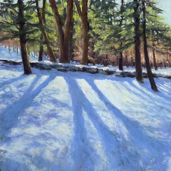 Ann Wickham, Winter Patterns